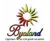 Byoland.com